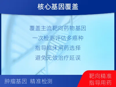 闻喜-消化道肿瘤靶药基因检测-检测流程