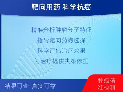 阜城-子宫内膜癌套餐-检测流程