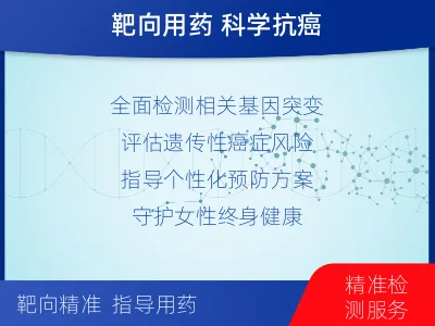 美姑-子宫内膜癌套餐-检测介绍