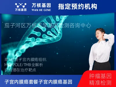 子宫内膜癌套餐子宫内膜癌-151基因（组织版）-单T