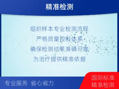 光明-子宫内膜癌套餐子宫内膜癌基因-适用人群