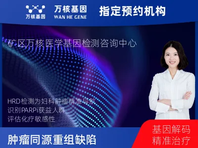 肿瘤同源重组缺陷（HRD）