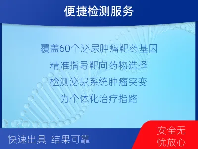 芷江-泌尿系统肿瘤靶药基因检测-检测流程