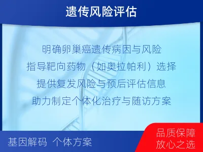 北辰-BRCA1基因检测-检测流程