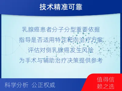 城子河-BRCA1基因检测-报告解读