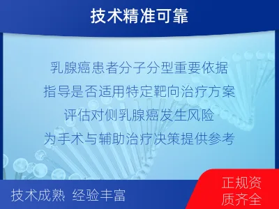 勃利-BRCA1基因检测-报告解读