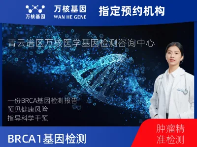 BRCA1/2基因检测