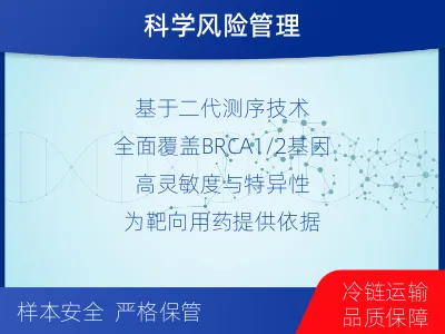 永新-BRCA1基因检测-检测流程