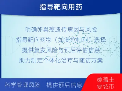 驿城-BRCA1基因检测-检测介绍