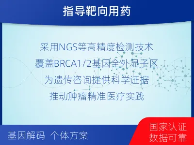 邵阳-BRCA1基因检测-检测介绍