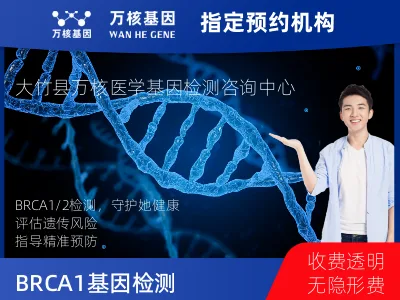 BRCA1/2基因检测