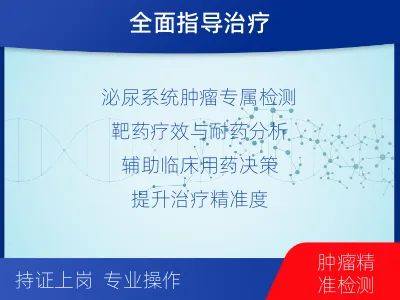 绛-泌尿系统肿瘤靶药基因综合检测-检测介绍