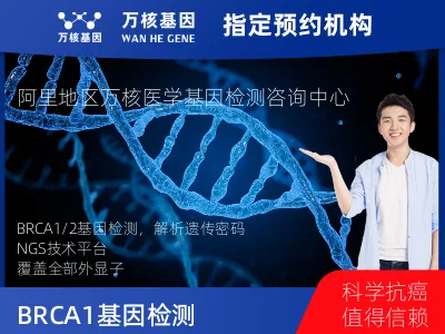 BRCA1/2基因检测