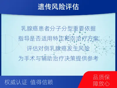 肃州-BRCA1基因检测-检测流程