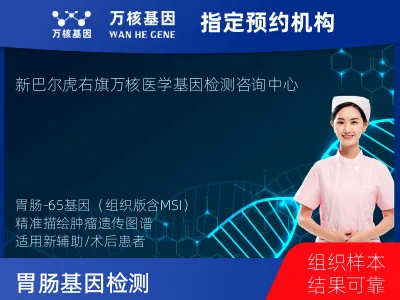 胃肠-65基因（组织版含MSI）