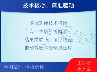 桃山-胃肠基因检测-检测介绍