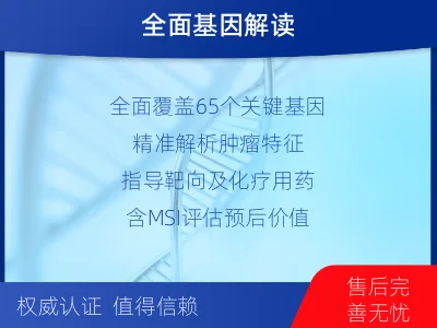 金湖-胃肠基因检测-检测流程