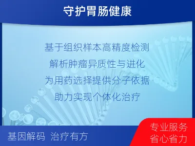 单-胃肠基因检测-检测介绍