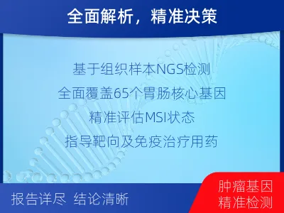 巨野-胃肠基因检测-检测流程