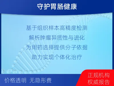 武定-胃肠基因检测-检测流程