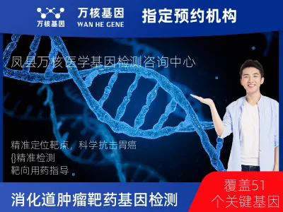 胃癌/胃肠道间质瘤/食管癌靶药51基因检测