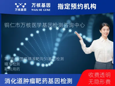 胃癌/胃肠道间质瘤/食管癌靶药51基因检测