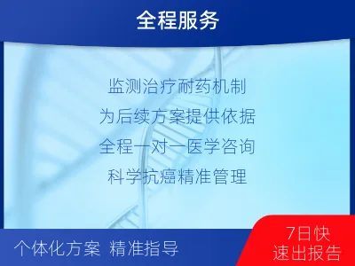 芷江-胃肠基因检测-检测流程