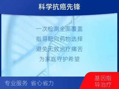 崖州-消化道肿瘤靶药基因检测-适用人群