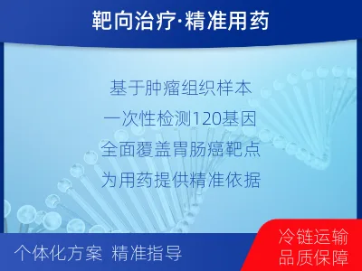 扎鲁特-胃肠肿瘤基因检测-检测介绍