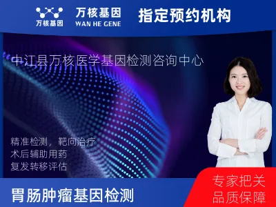 胃肠肿瘤-120基因（组织版）-单T