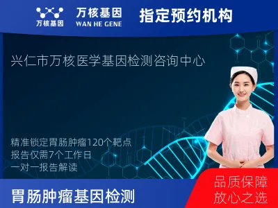 胃肠肿瘤-120基因（组织版）-单T