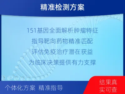 永新-实体瘤基因检测-检测流程