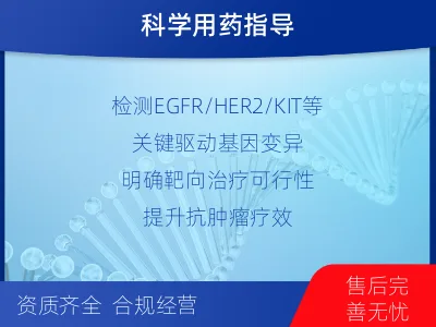 武功-消化道肿瘤靶药基因检测-适用人群