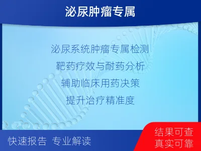 连南-泌尿系统肿瘤靶药基因综合检测-检测介绍