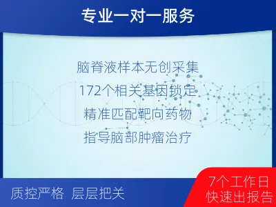 新兴-实体瘤基因检测-检测流程