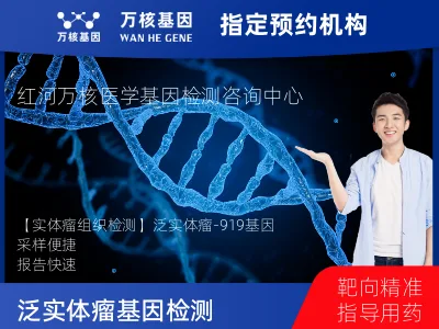 泛实体瘤-919基因（组织版）