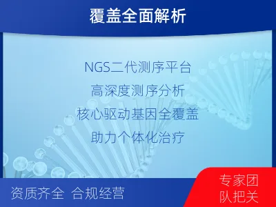 东明-泛实体瘤基因检测-检测流程