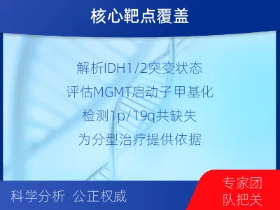 安平-脑肿瘤基础项检测-检测介绍