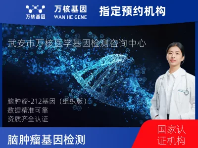 脑肿瘤-212基因（组织版）
