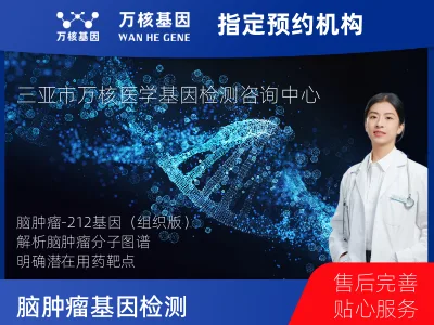 三亚市海棠区脑肿瘤-212基因（组织版）