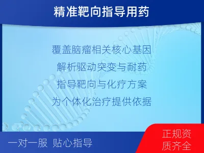 东湖-脑肿瘤基因检测-检测介绍