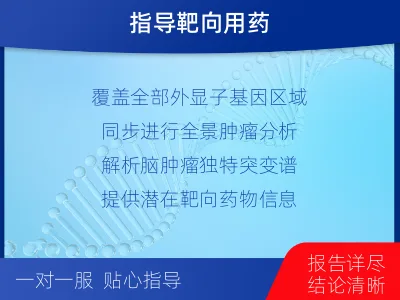 乌达-全外显子基因检测-脑肿瘤-适用人群