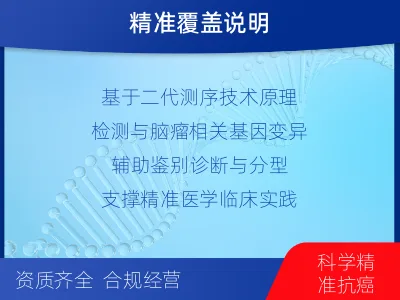 宁城-全外显子基因检测-脑肿瘤-检测介绍