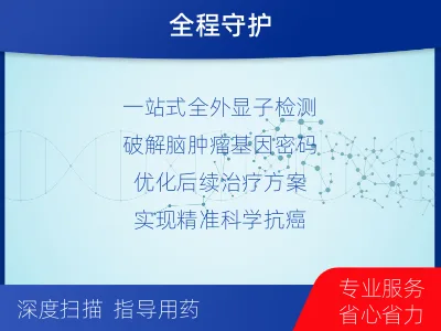 磴口-全外显子基因检测-脑肿瘤-检测流程