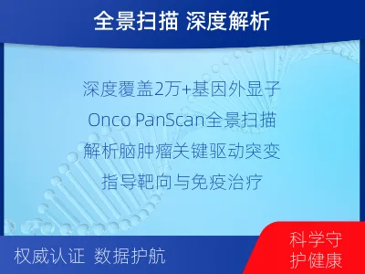 图们-全外显子基因检测-脑肿瘤-检测介绍