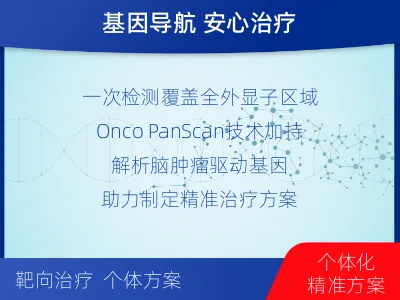 海宁-全外显子基因检测-脑肿瘤-适用人群