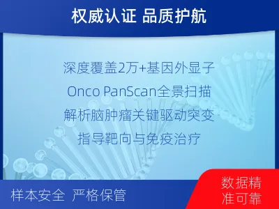 兰溪-全外显子基因检测-脑肿瘤-适用人群