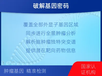 叶集-全外显子基因检测-脑肿瘤-适用人群