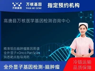 全外显子基因检测（含Onco PanScan）-脑肿瘤