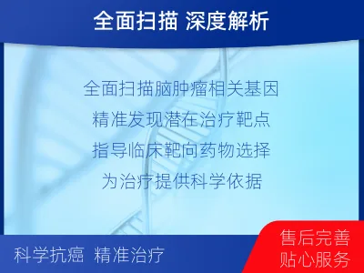 梁园-全外显子基因检测-脑肿瘤-检测介绍